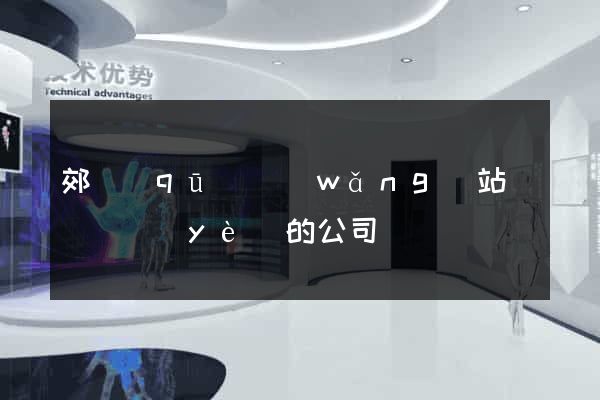 郊區(qū)網(wǎng)站設計專業(yè)的公司