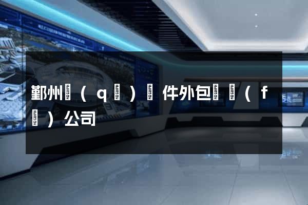 鄞州區(qū)軟件外包開發(fā)公司