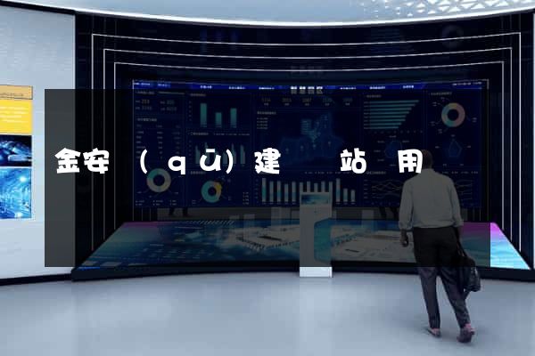 金安區(qū)建個網站費用