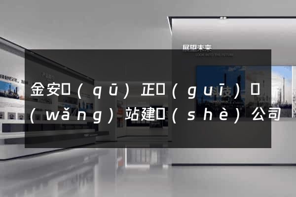 金安區(qū)正規(guī)網(wǎng)站建設(shè)公司