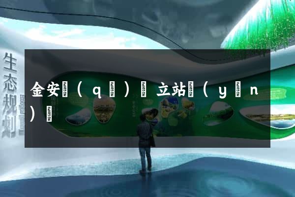 金安區(qū)獨立站運(yùn)營