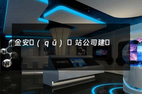 金安區(qū)網站公司建設