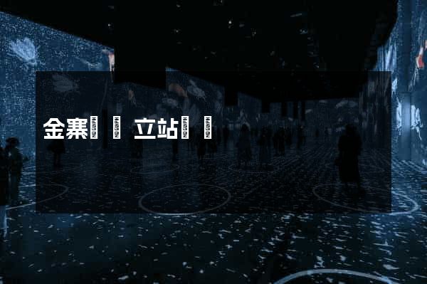金寨縣獨立站運營