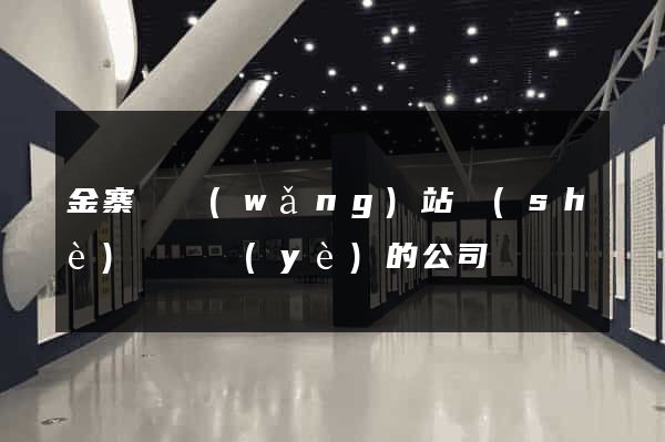 金寨縣網(wǎng)站設(shè)計專業(yè)的公司