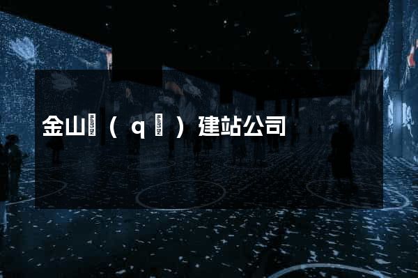 金山區(qū)建站公司