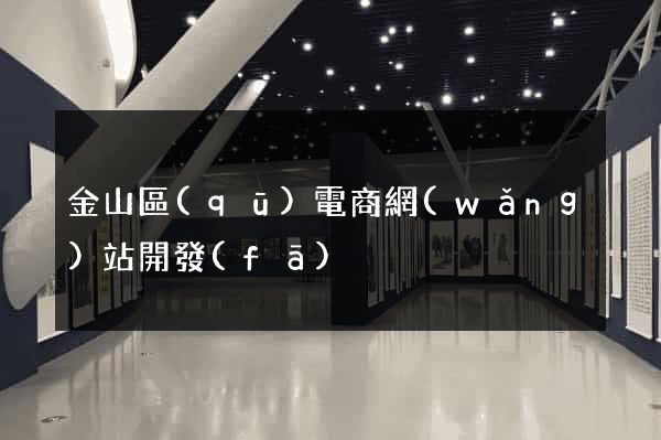 金山區(qū)電商網(wǎng)站開發(fā)