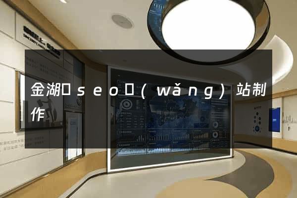 金湖縣seo網(wǎng)站制作