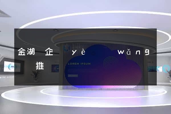 金湖縣企業(yè)網(wǎng)絡推廣