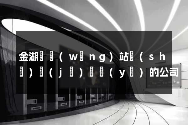 金湖縣網(wǎng)站設(shè)計(jì)專業(yè)的公司
