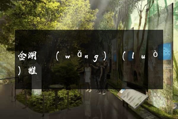 金湖縣網(wǎng)絡(luò)推廣
