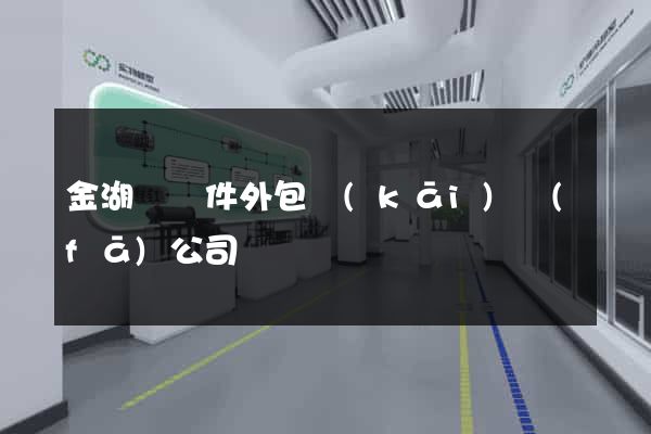 金湖縣軟件外包開(kāi)發(fā)公司