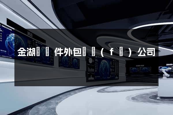 金湖縣軟件外包開發(fā)公司