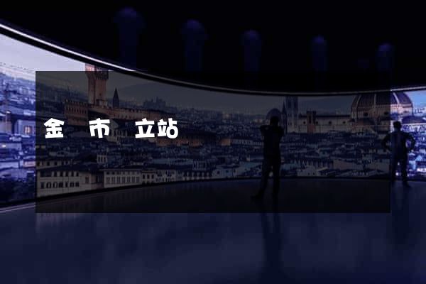 金華市獨立站運營