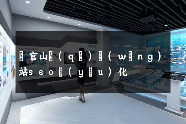 銅官山區(qū)網(wǎng)站seo優(yōu)化