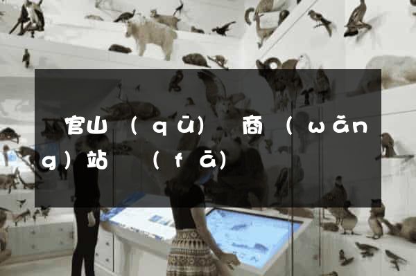 銅官山區(qū)電商網(wǎng)站開發(fā)