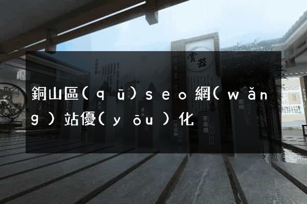 銅山區(qū)seo網(wǎng)站優(yōu)化