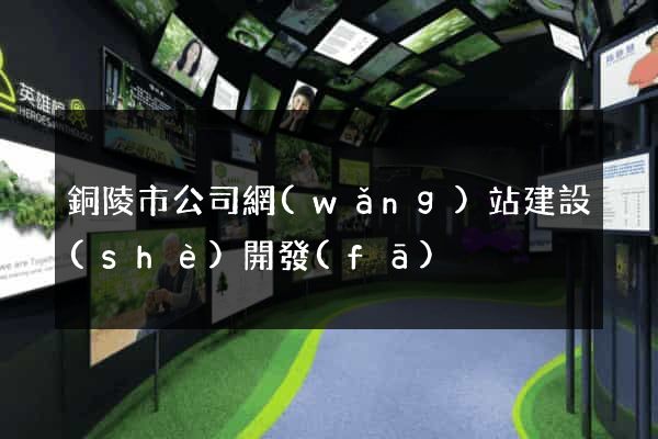 銅陵市公司網(wǎng)站建設(shè)開發(fā)
