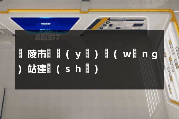 銅陵市專業(yè)網(wǎng)站建設(shè)