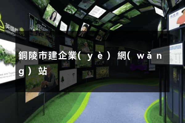 銅陵市建企業(yè)網(wǎng)站