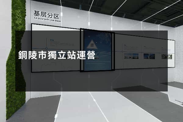銅陵市獨立站運營