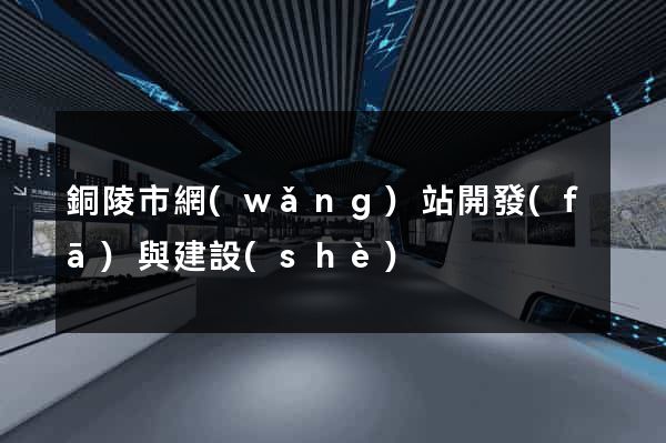 銅陵市網(wǎng)站開發(fā)與建設(shè)