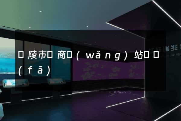 銅陵市電商網(wǎng)站開發(fā)