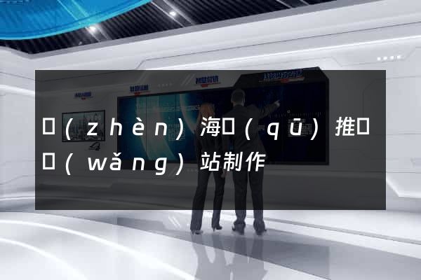 鎮(zhèn)海區(qū)推廣網(wǎng)站制作