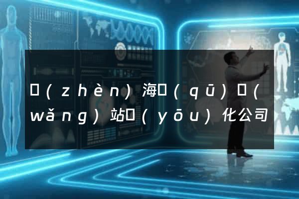鎮(zhèn)海區(qū)網(wǎng)站優(yōu)化公司