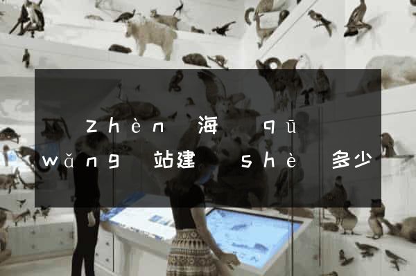 鎮(zhèn)海區(qū)網(wǎng)站建設(shè)多少錢