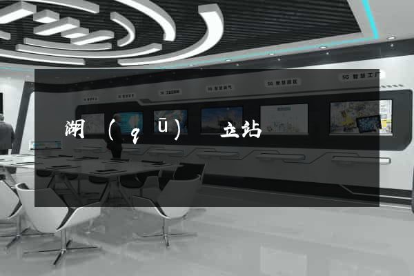 鏡湖區(qū)獨立站運營