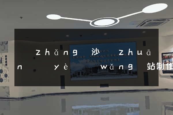 長(zhǎng)沙專(zhuān)業(yè)網(wǎng)站制作