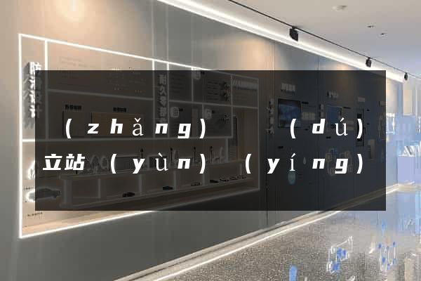 長(zhǎng)興縣獨(dú)立站運(yùn)營(yíng)