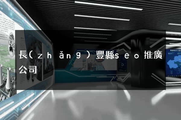 長(zhǎng)豐縣seo推廣公司