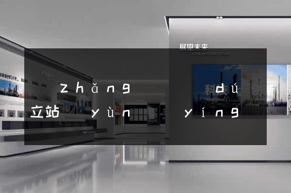長(zhǎng)豐縣獨(dú)立站運(yùn)營(yíng)