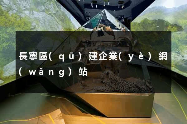 長寧區(qū)建企業(yè)網(wǎng)站