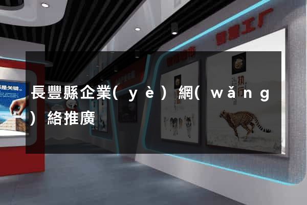 長豐縣企業(yè)網(wǎng)絡推廣