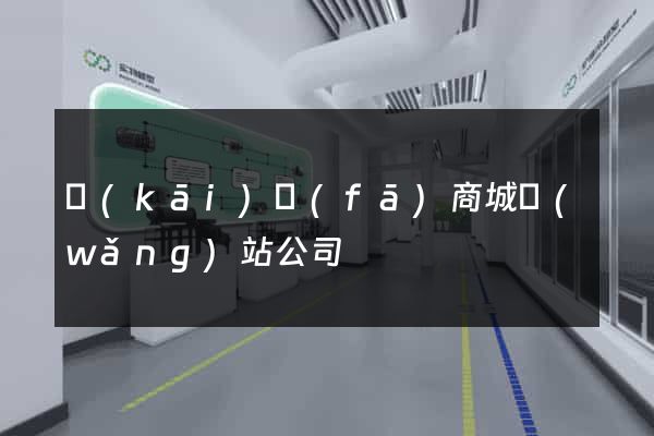 開(kāi)發(fā)商城網(wǎng)站公司