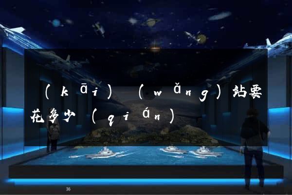 開(kāi)網(wǎng)站要花多少錢(qián)