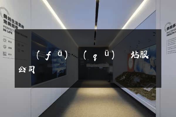 開發(fā)區(qū)網站服務公司