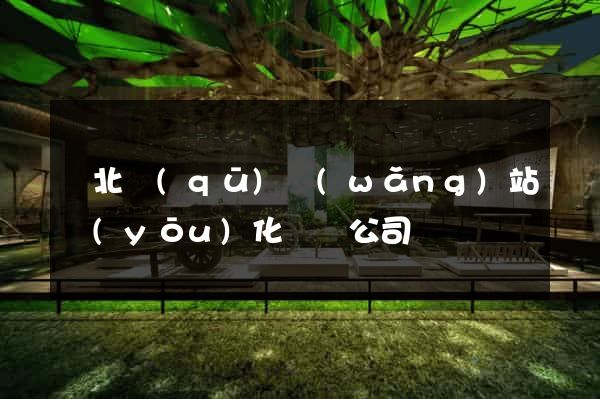 閘北區(qū)網(wǎng)站優(yōu)化設計公司