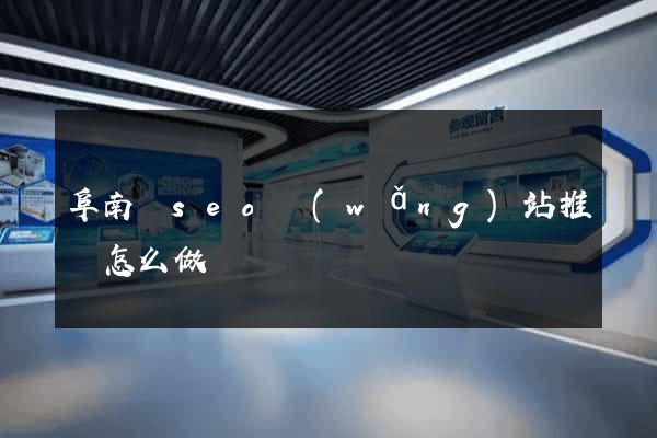 阜南縣seo網(wǎng)站推廣怎么做