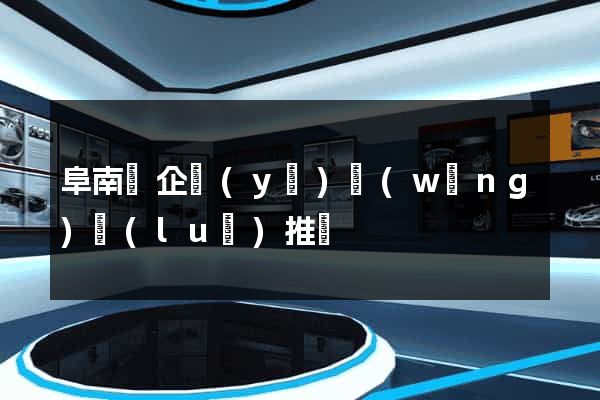 阜南縣企業(yè)網(wǎng)絡(luò)推廣