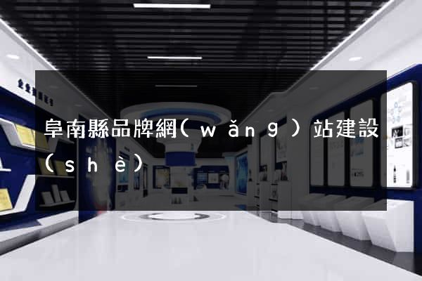 阜南縣品牌網(wǎng)站建設(shè)