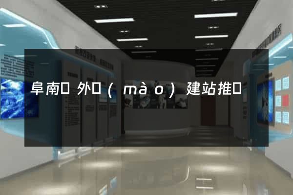 阜南縣外貿(mào)建站推廣