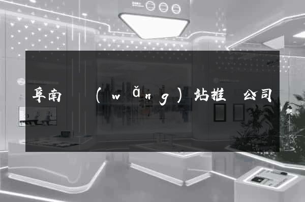 阜南縣網(wǎng)站推廣公司