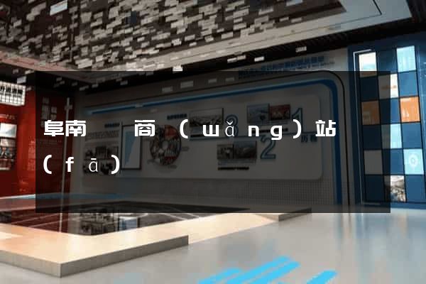 阜南縣電商網(wǎng)站開發(fā)
