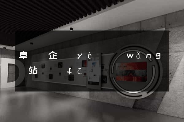 阜寧縣企業(yè)網(wǎng)站開發(fā)