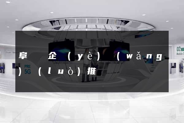 阜寧縣企業(yè)網(wǎng)絡(luò)推廣