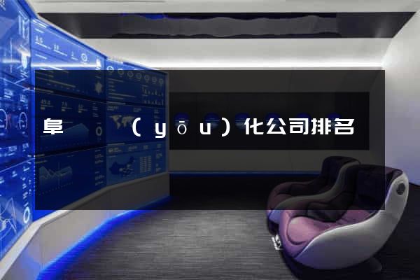 阜寧縣優(yōu)化公司排名