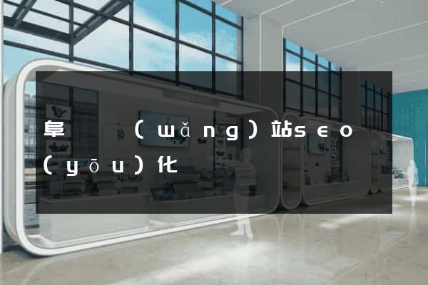 阜寧縣網(wǎng)站seo優(yōu)化